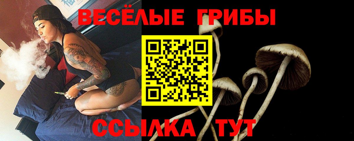 Воткинск  Галлюциногенные грибы Cubensis  наркота  Вход с VPN 